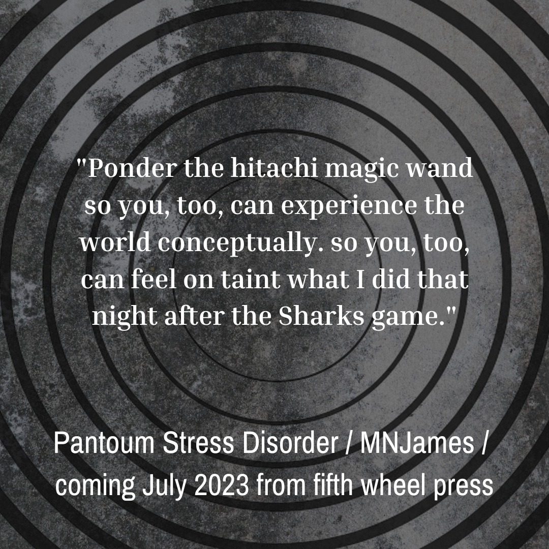 Pantoum Stress Disorder by MNJames