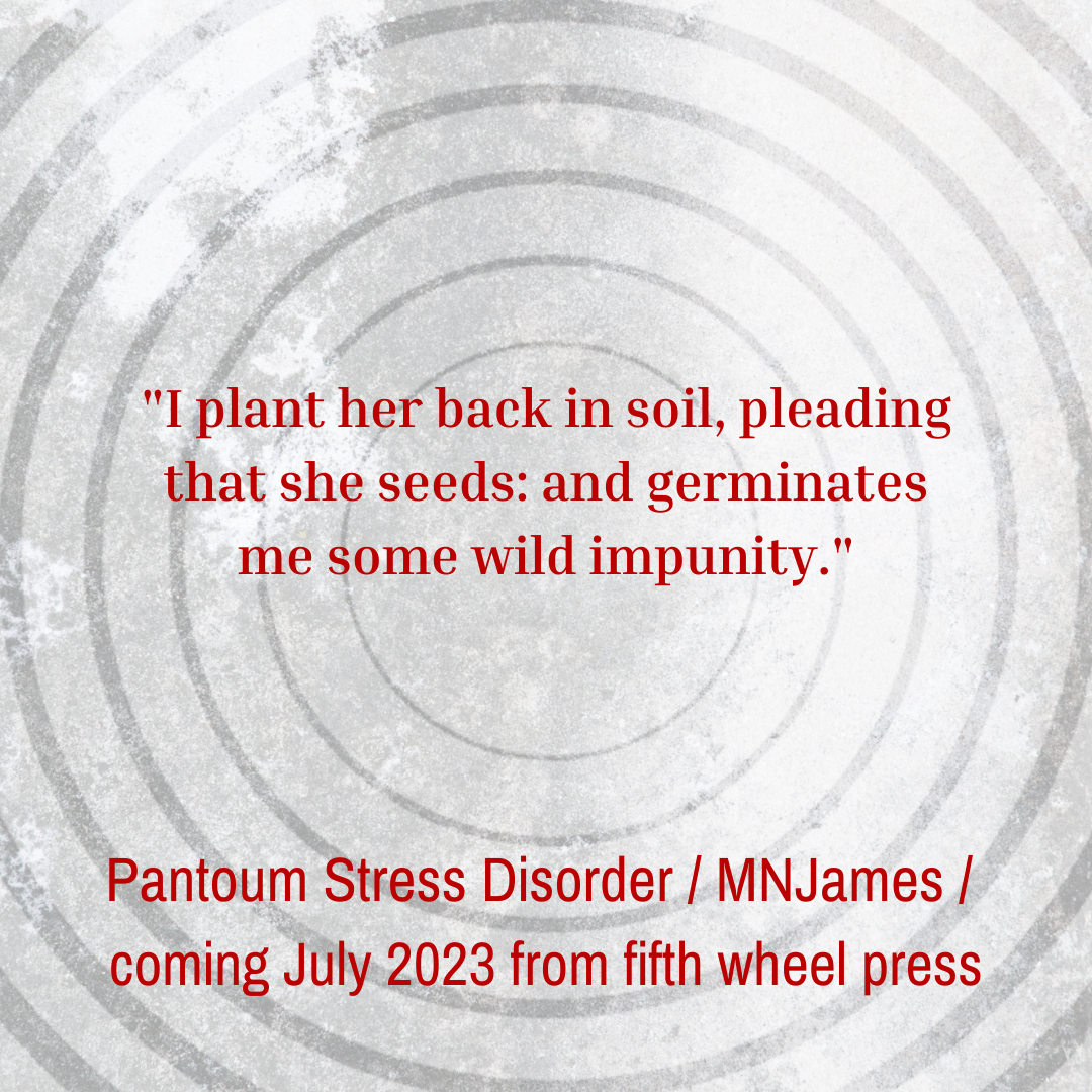 Pantoum Stress Disorder by MNJames