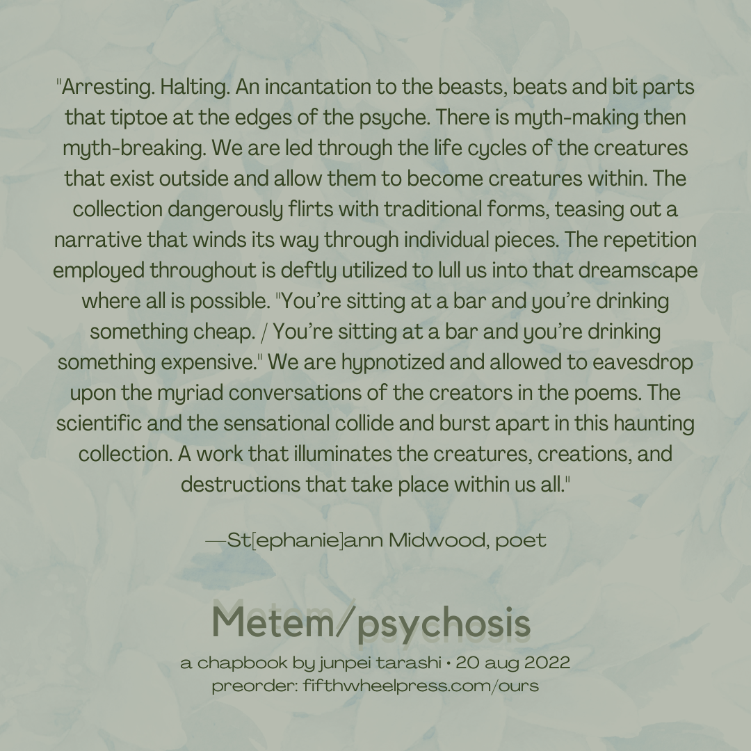 Metem/psychosis by Junpei Tarashi