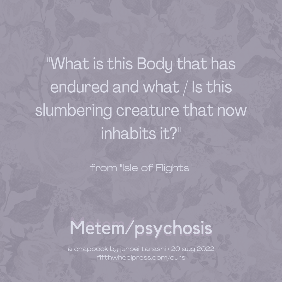 Metem/psychosis by Junpei Tarashi