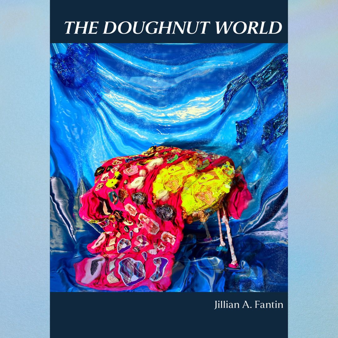 THE DOUGHNUT WORLD by Jillian A. Fantin