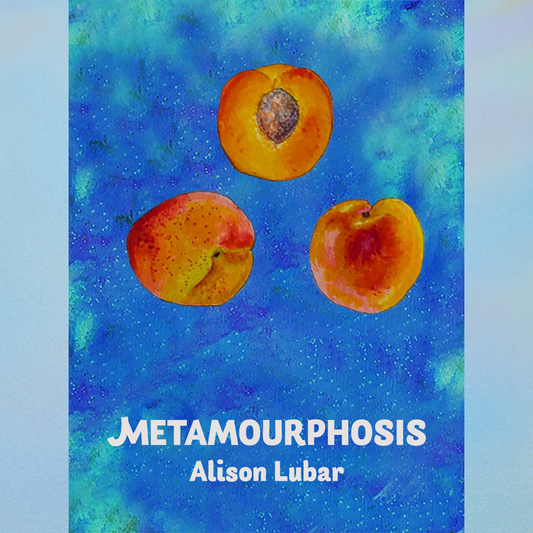 METAMOURPHOSIS by Alison Lubar