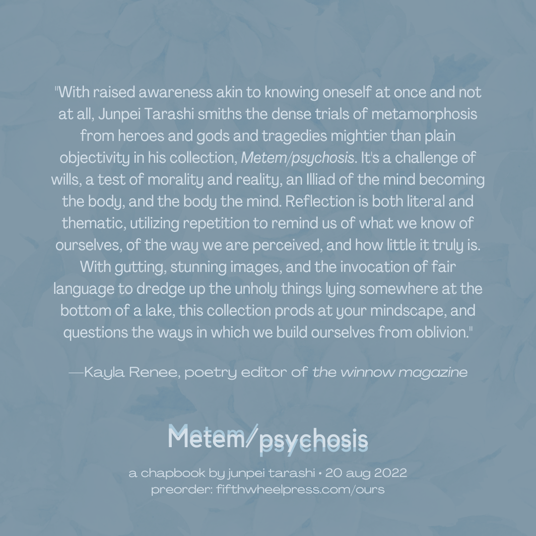 Metem/psychosis by Junpei Tarashi